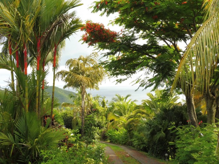 Location de vacances - Gîte à Pointe Noire - Entrée des Terrasses d'Acomat