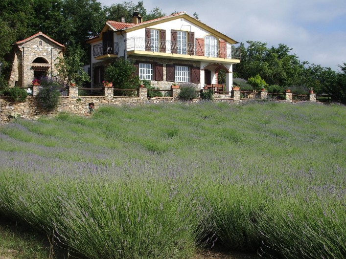 Location de vacances - Gîte à Vasia - La maison casa Roccolo et les champs de lavande
