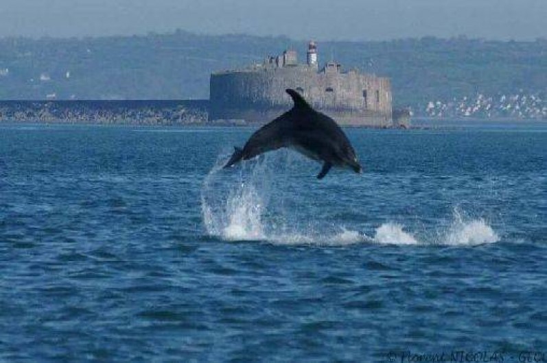 Location de vacances - Villa à Tourlaville - RADE DE CHERBOURG