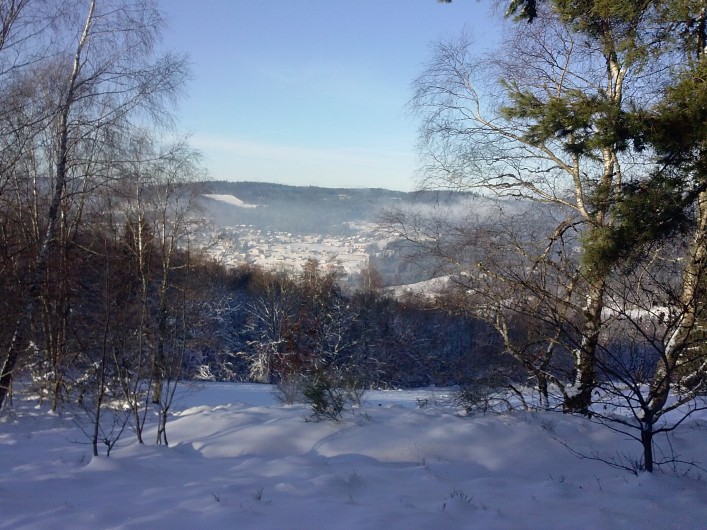 Location de vacances - Chalet à Le Tholy - De la terrasse du chalet en hiver
