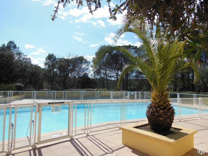 Location de vacances - Appartement à Saint-Raphaël - la piscine