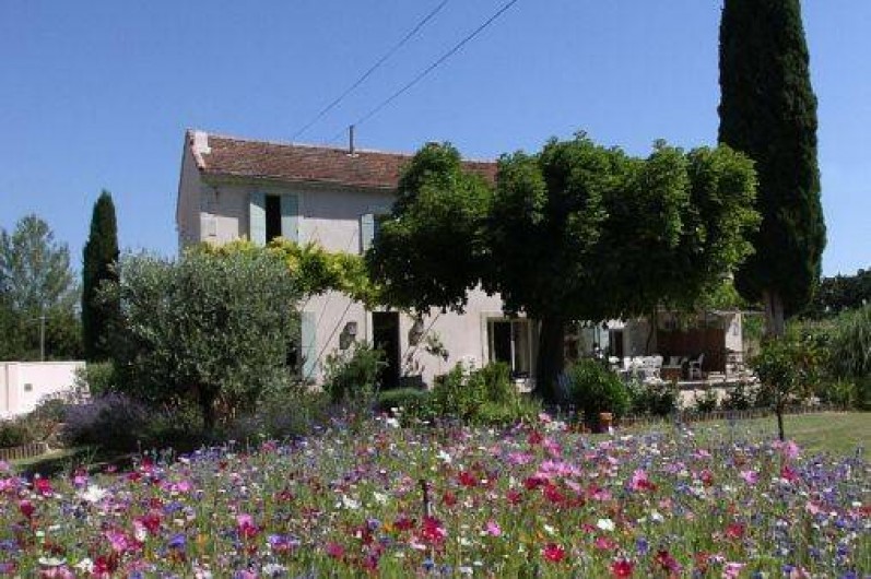 Location de vacances - Mas à Saint-Rémy-de-Provence - Verdure et fleurs