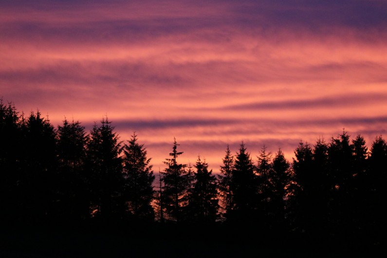 Location de vacances - Gîte à Allanche