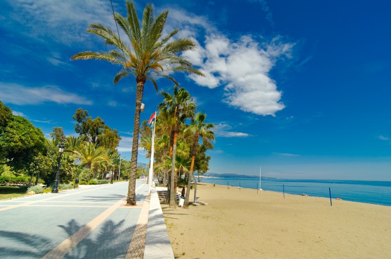 Location de vacances - Chalet à Marbella - Végétation exotique sur l'esplanade de San Pedro Playa