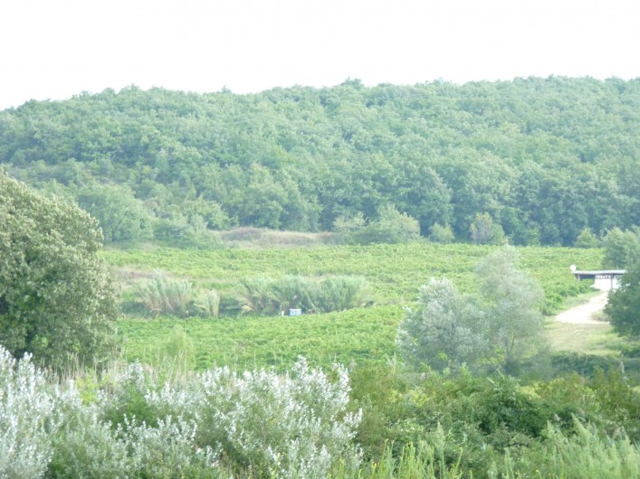 Location de vacances - Gîte à Châteauneuf-du-Rhône