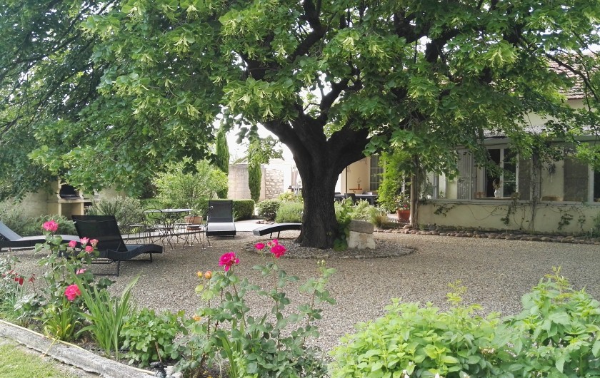 Location de vacances - Gîte à Pernes-les-Fontaines - Cour privative du gîte