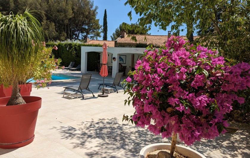 Location de vacances - Chambre d'hôtes à La Ciotat