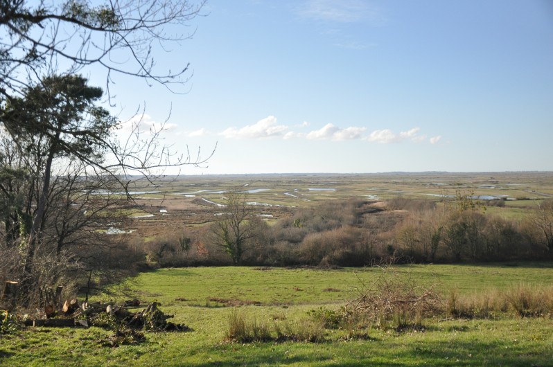 Location de vacances - Gîte à La Gripperie-Saint-Symphorien - Vue panoramique marais de Brouage