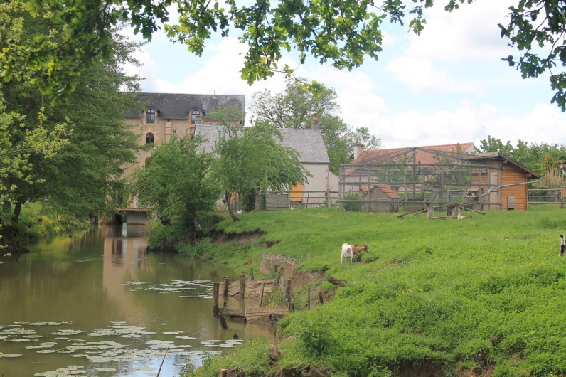 Location de vacances - Maison - Villa à Cercy-la-Tour - Prolongement de la rivière à l'arrière du gîte