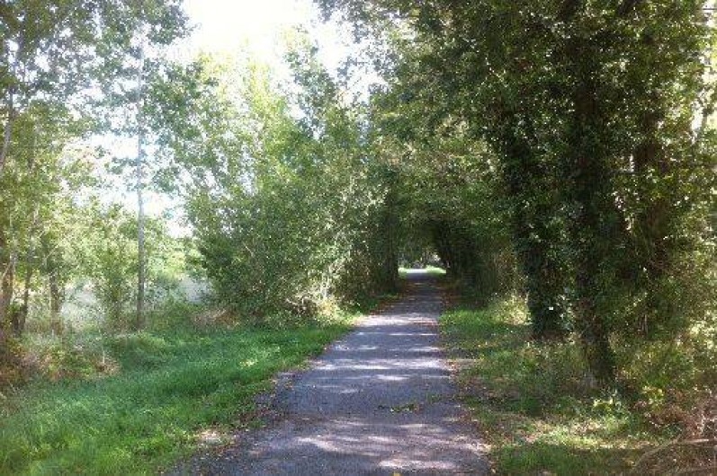 Location de vacances - Gîte à Chalonnes-sur-Loire