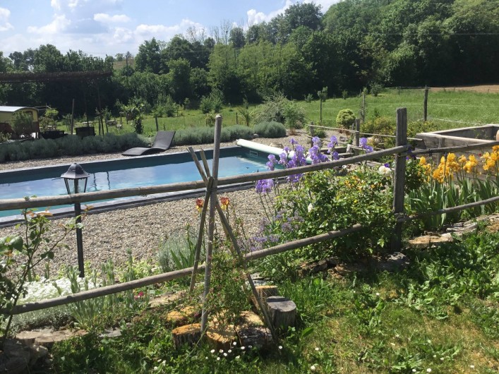 Location de vacances - Gîte à Lendou-en-Quercy - piscine au sel coté prairie et bois