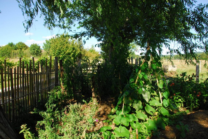 Location de vacances - Gîte à Lendou-en-Quercy - Visite du potager de Sylvie