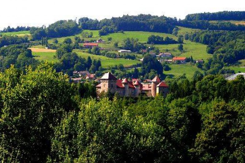 Location de vacances - Château - Manoir à Thorens-Glières