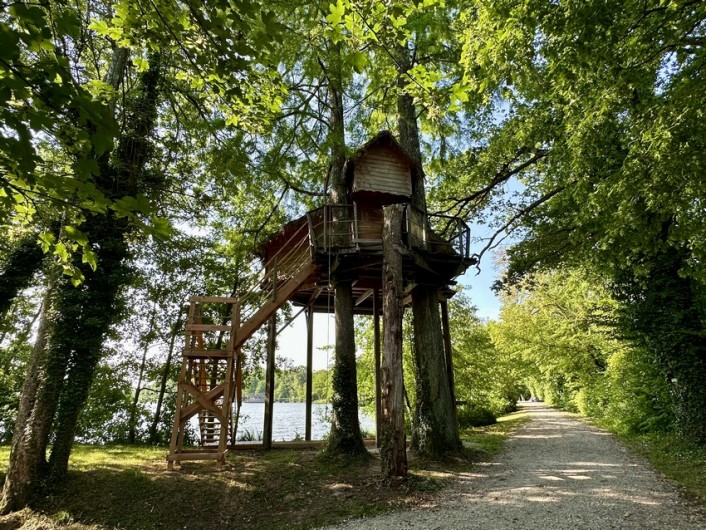 Location de vacances - Cabane dans les arbres à Saint-Paul-de-Varax - Cabane perchée Ecureuil