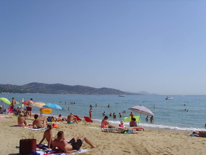 Location de vacances - Appartement à Sainte-Maxime - plage le matin en saison