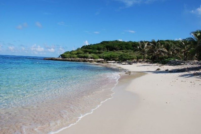 Location de vacances - Villa à Saint-François - Anse Tarare sur la Pointe des châteaux