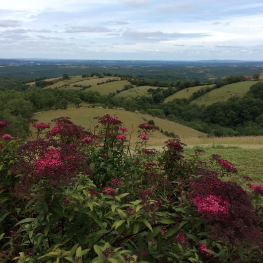 Location de vacances - Gîte à Saint-Projet - vue terrasse