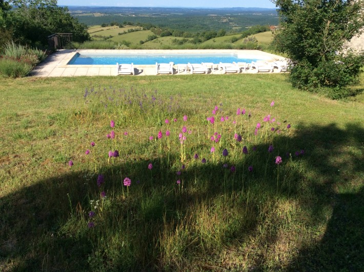 Location de vacances - Gîte à Saint-Projet - piscine