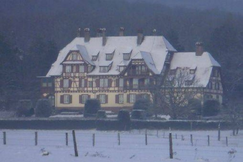 Location de vacances - Gîte à Niederbronn-les-Bains