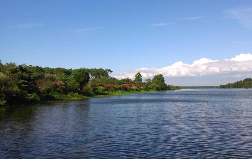 Location de vacances - Villa à Mimizan - le lac de Mimizan