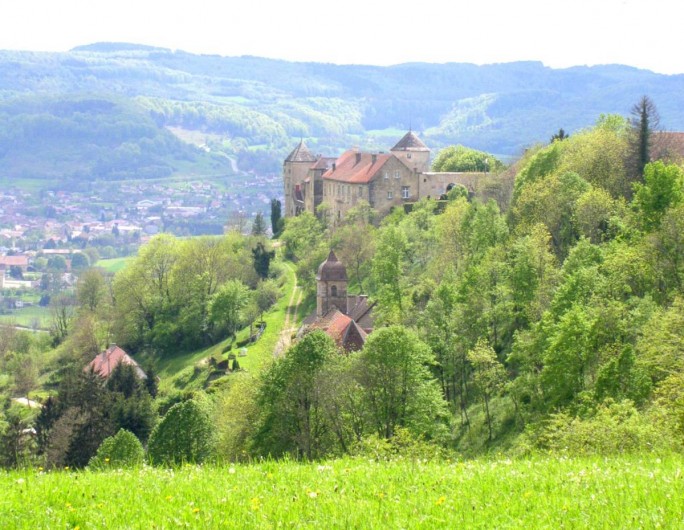 Location de vacances - Maison - Villa à Sancey-le-Grand - Le château de Belvoir à 5 mn
