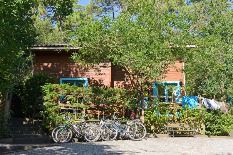 Location de vacances - Chalet à Messanges - Location vélos