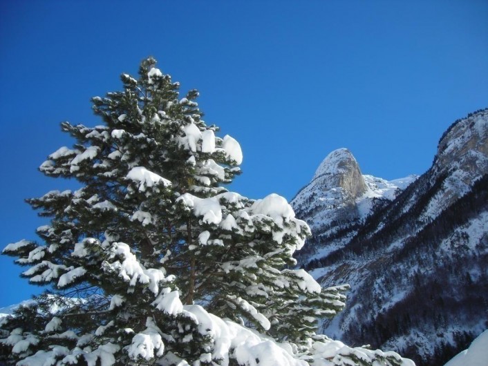 Location de vacances - Gîte à Gavarnie-Gèdre