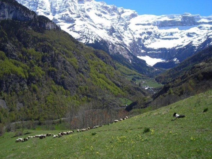 Location de vacances - Gîte à Gavarnie-Gèdre