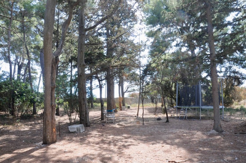 Location de vacances - Chambre d'hôtes à Frontignan - Parc avec trampoline