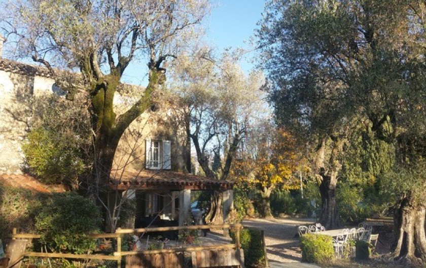 Location de vacances - Mas à Grasse - Mas provençal du 18° rénové.