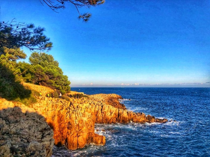 Location de vacances - Appartement à Juan les Pins