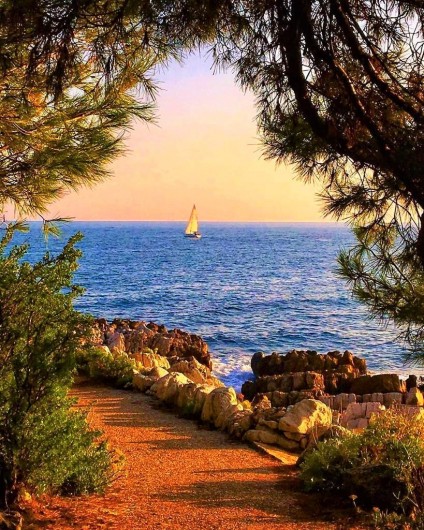 Location de vacances - Appartement à Juan les Pins