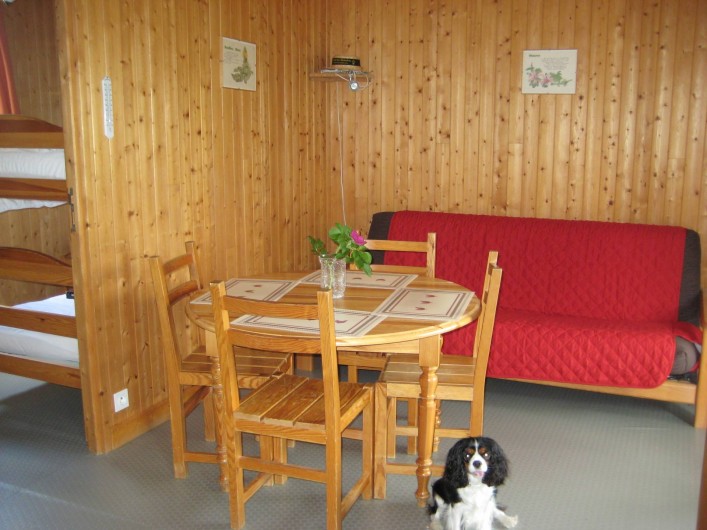 Location de vacances - Chalet à Le Malzieu-Ville - salon ,salle a manger