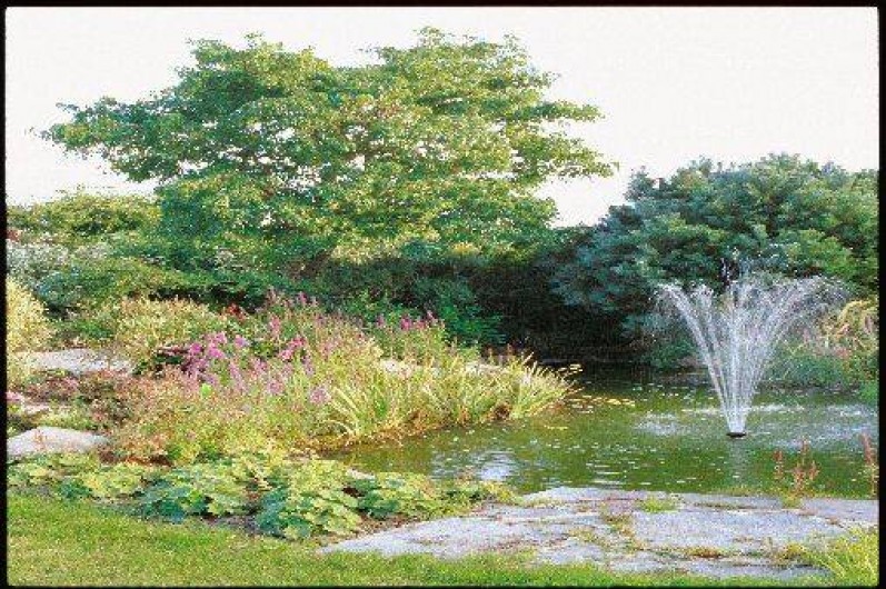 Location de vacances - Maison - Villa à Saint-Jouan-des-Guérets