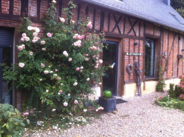 Location de vacances - Gîte à Beauval-en-Caux - rosier à l'accueil du gîte "le tilleul"