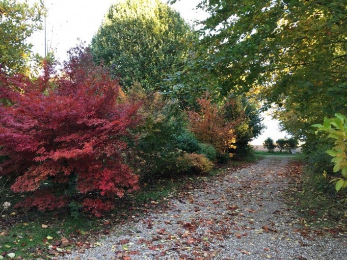 Location de vacances - Gîte à Beauval-en-Caux - couleurs d'automne sur le chemin d'entrée