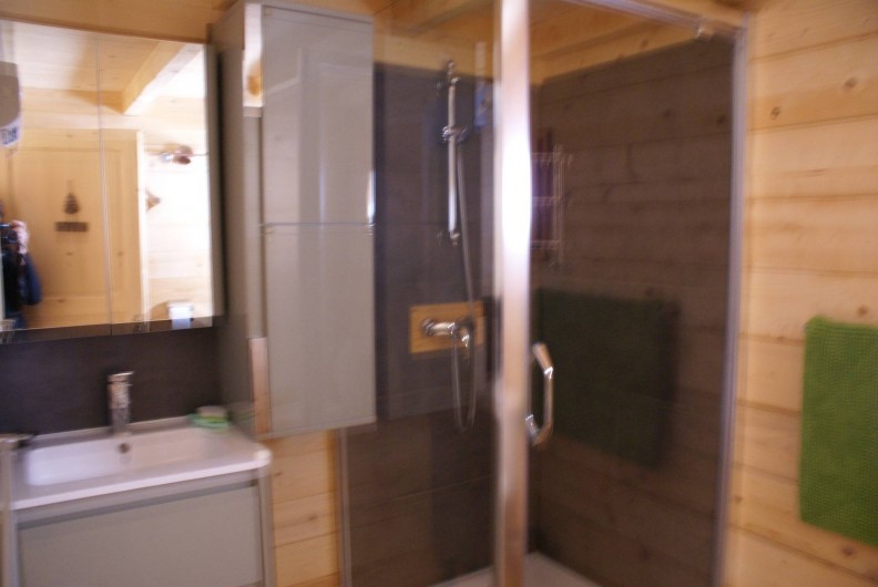 Location de vacances - Chalet à Saint-Paul-sur-Ubaye - salle d'eau , douche, vasque et meubles de rangement. 1 wc .