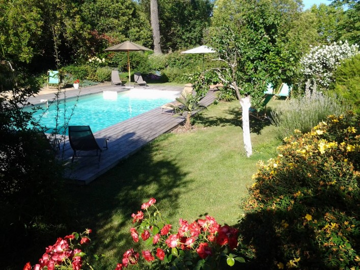 Location de vacances - Chambre d'hôtes à Saint-Thomas - La piscine vue du massif de millepertuis