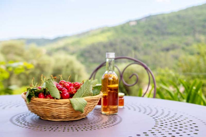 Location de vacances - Appartement à Le Bar-sur-Loup - CADEAU D ACCUEIL