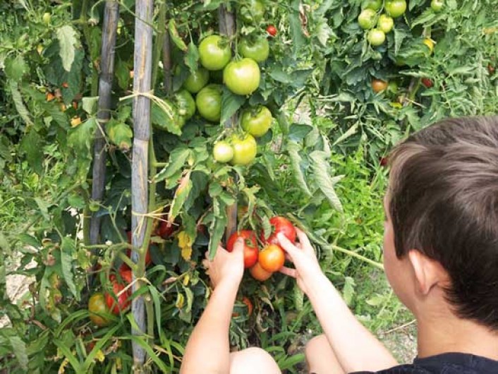 Location de vacances - Appartement à Le Bar-sur-Loup - NOS VACANCIERS SE REGALENT DE NOS LEGUMES