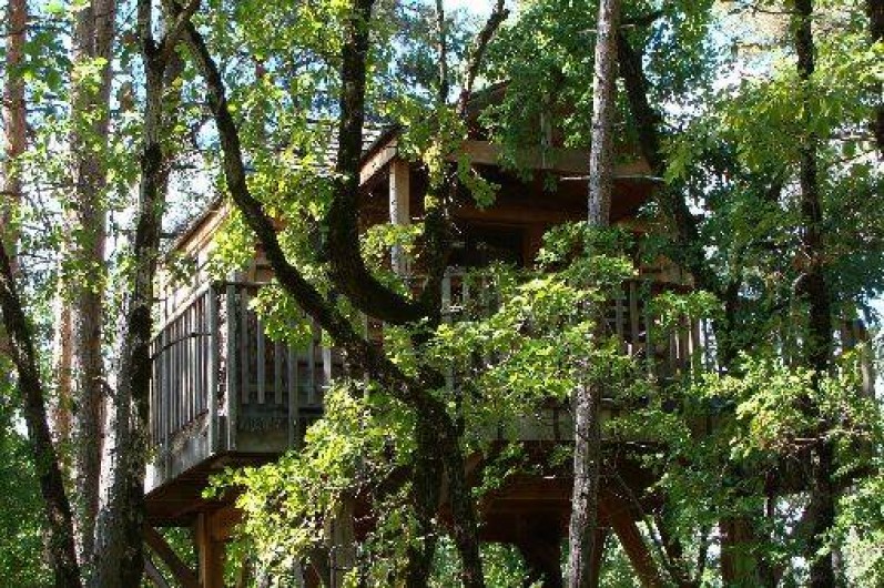 Location de vacances - Cabane dans les arbres à Boynes