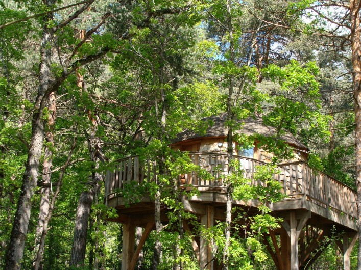 Location de vacances - Cabane dans les arbres à Rivière-sur-Tarn - La Cabane de Lily