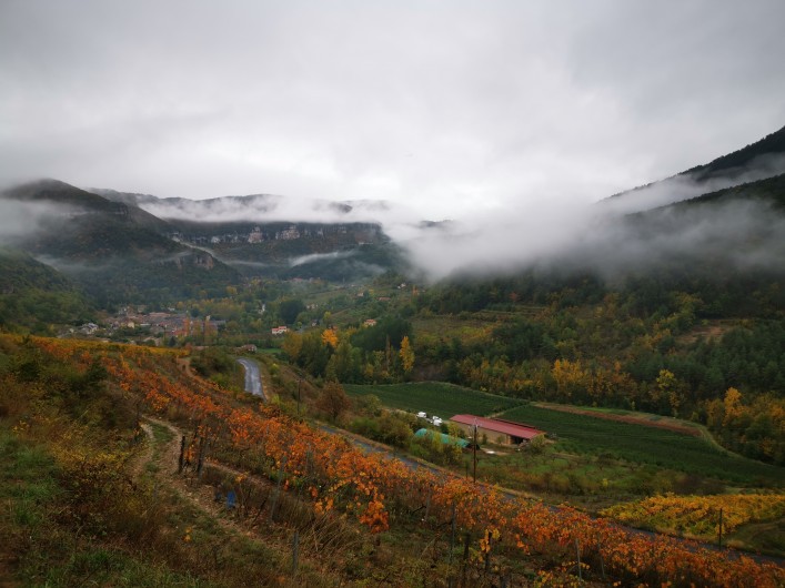 Location de vacances - Cabane dans les arbres à Rivière-sur-Tarn