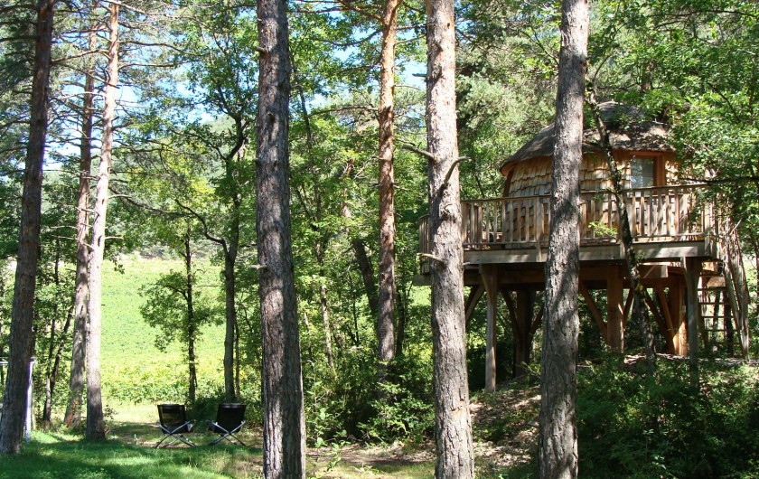 Location de vacances - Cabane dans les arbres à Rivière-sur-Tarn - La Cabane de Lily
