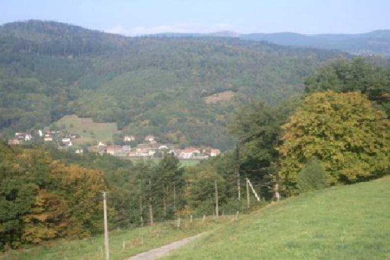 Location de vacances - Chalet à Luttenbach-prés-Munster