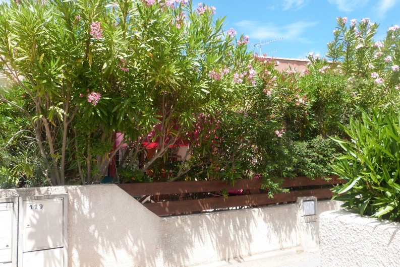 Location de vacances - Villa à Gruissan Plage - la bordure de lauriers roses