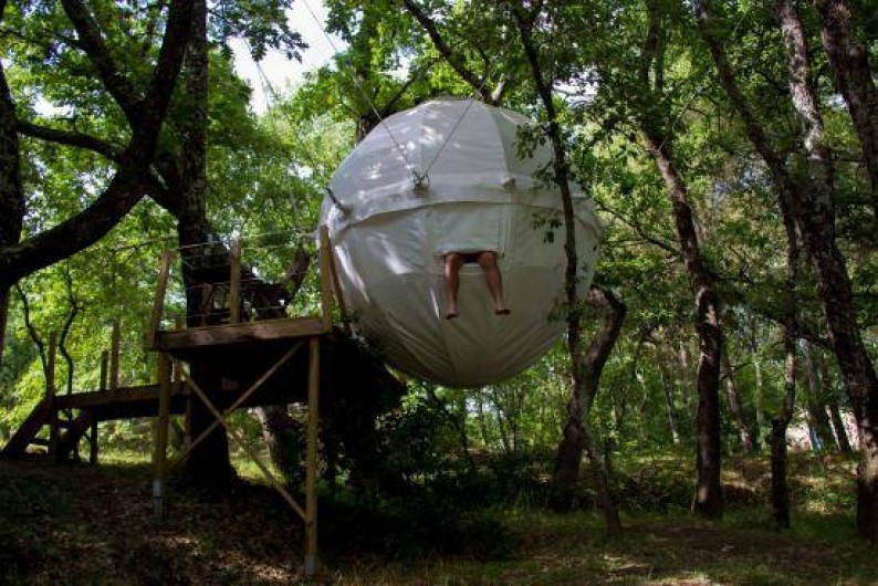 Location de vacances - Yourte à Barjac - Cocoon Tree : une grosse tente sphérique suspendue dans les arbres