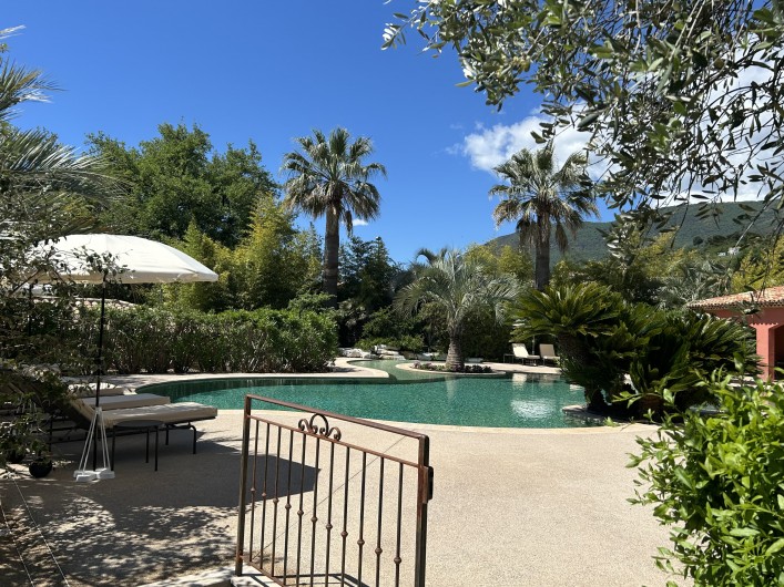 Location de vacances - Villa à Carros - Magnifique piscine-lagon