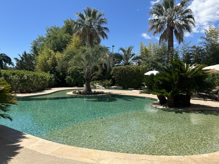 Location de vacances - Villa à Carros - Piscine-lagon avec plage en pente douce idéal pour les enfants