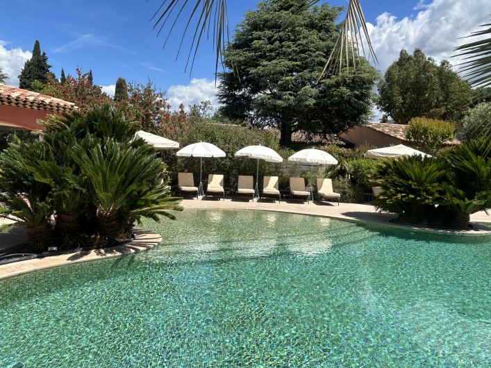 Location de vacances - Villa à Carros - Magnifique piscine-lagon